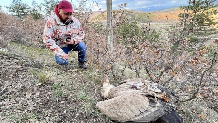 Екоминистерството подкрепя промени в Наказателния кодекс за жестокост над животни