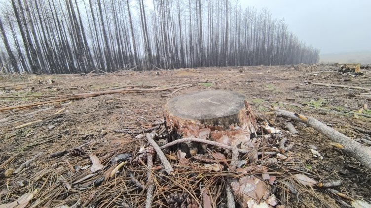 Добри са условията за туризъм в планините