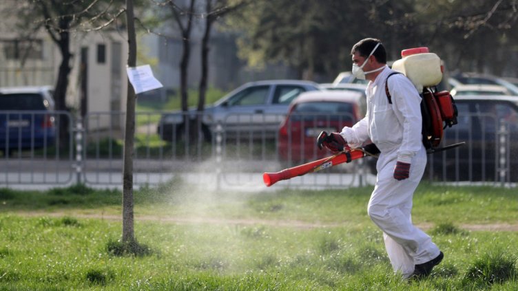 Снимката е илюстративна: БГНЕС
