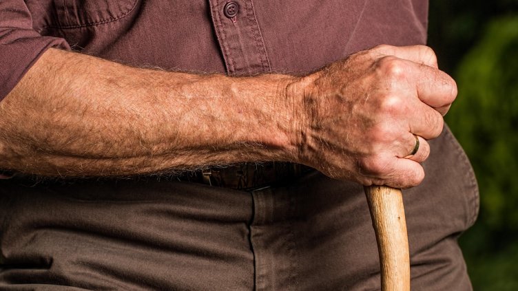 Снимка: Pixabay/ stevepb