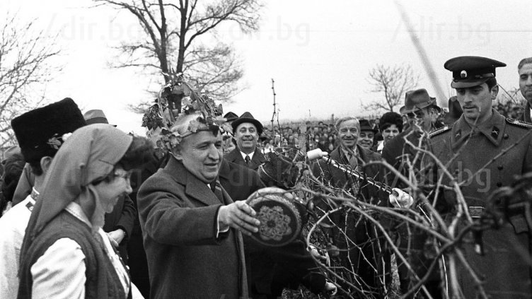 Да зарежем лозята... с коронования винар Бай Тошо. СНИМКИ от старите ленти