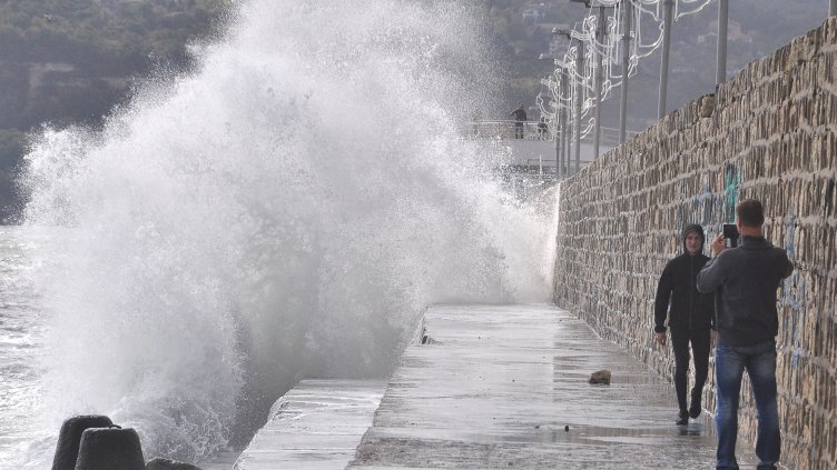 Снимка Пламен Гутинов