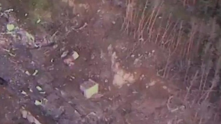 Шефовете на цеха в Горни Лом виновни за взрива