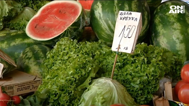 Освен с нитрати – зелените салати бъкани и с бактерии. Как да ги разпознаем?