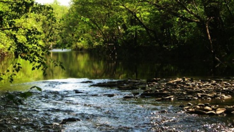 Откриха тяло в река р. Луда Камчия