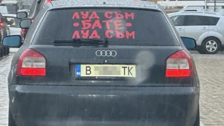 Варненец с ауди шашна софиянци