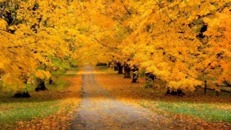 Слънчево време над Варна