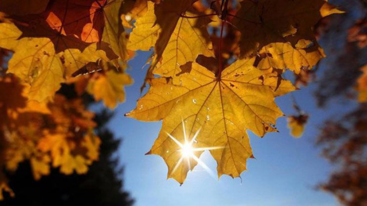 По-топло време през почивните дни