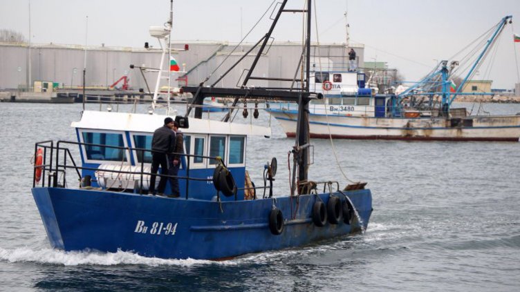 НОВАТА ЗАПОВЕД НА ИАРА ДАДЕ ВЪЗМОЖНОСТ на редица онеправдани собственици на риболовни съдове отново да ловят калкан.