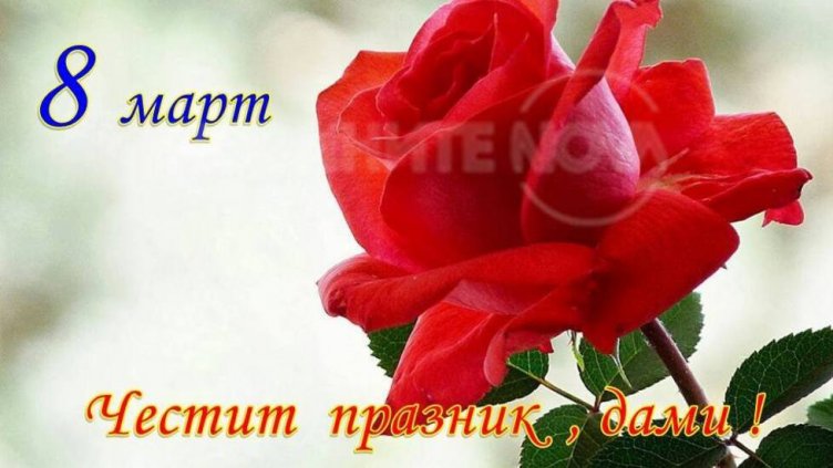 8 март e! Честит празник, мили дами!