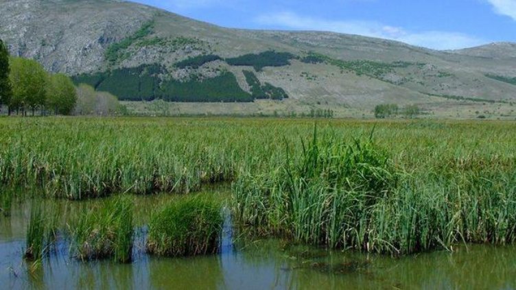 Във Варна отбелязват Световния ден на влажните зони