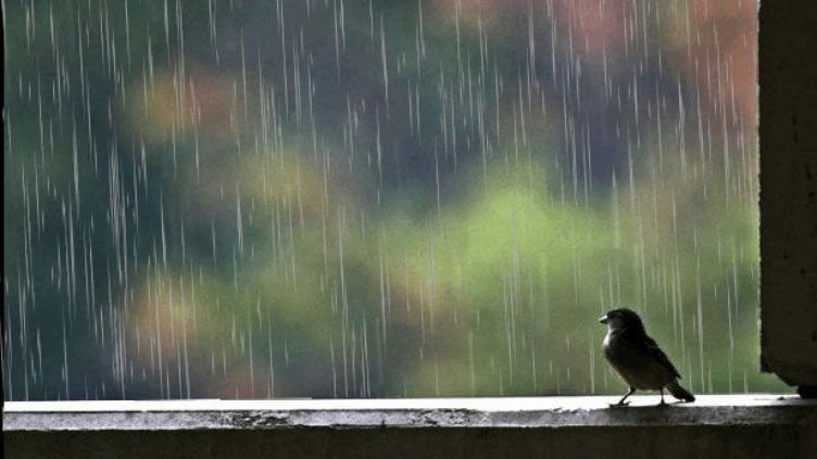 Дъжд, облаци - остава хладно и утре