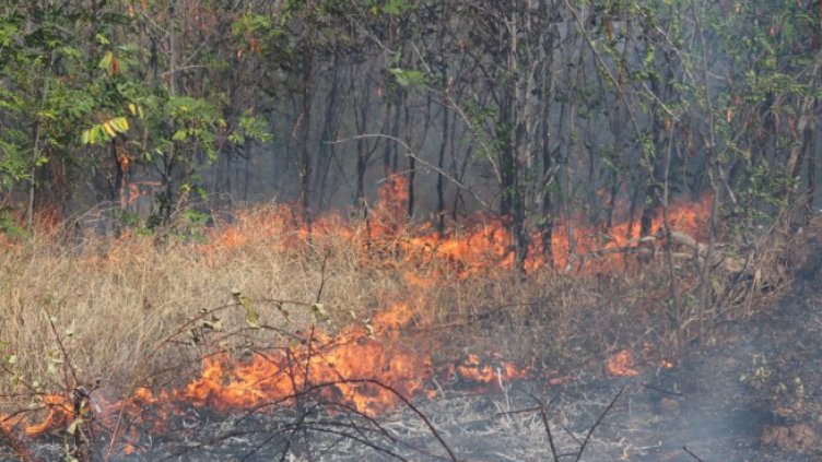 Снимката е илюстративна. 