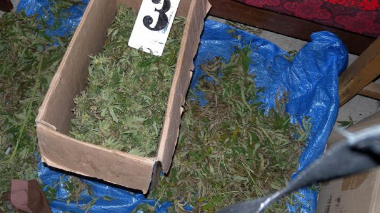 Пакети с марихуана пътуват през Гюешево