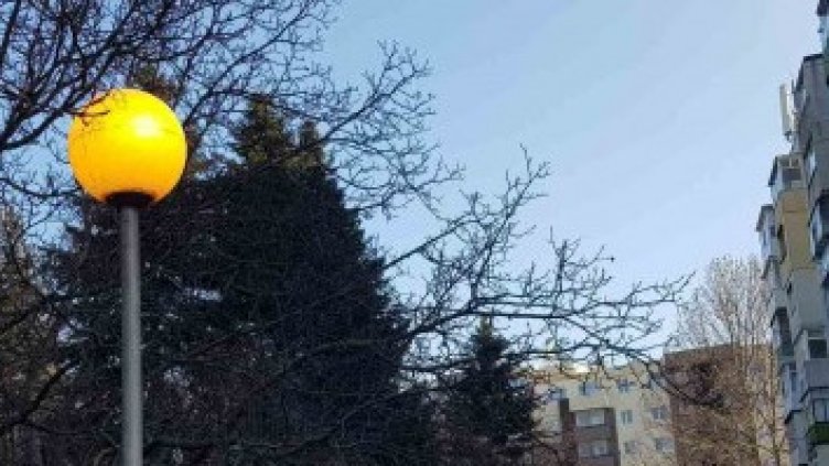 Уличните лампи във Варна светели през деня заради профилактика