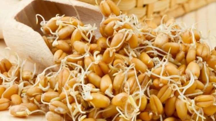 Защо да включите кълнове в диетата си?