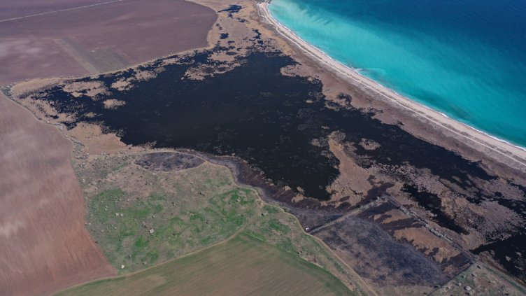 Пожар горя в защитена зона по "Натура 2000" 