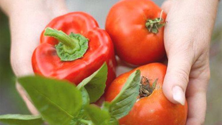 Предесенно: Доматите поевтиняват, чушките поскъпват