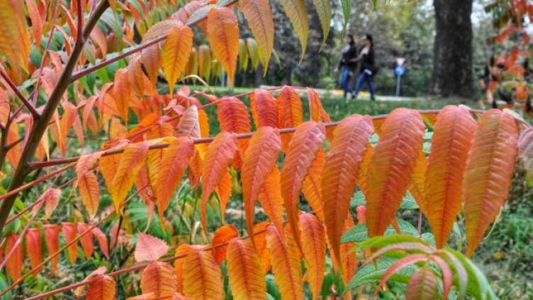 Климатолог: Топлото време през есента се случва през 20 години