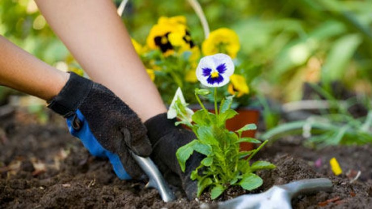 Отбелязваме Деня на градинаря в България