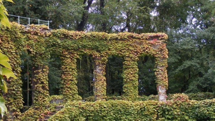 Първа езикова гимназия кани на концерт