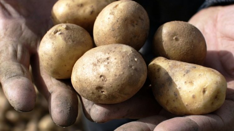 100 лв. глоба за мъж, замерял друг с картофи, лук и буркани