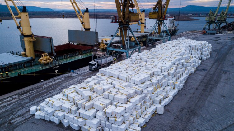 Снимка: ОЦОСУР