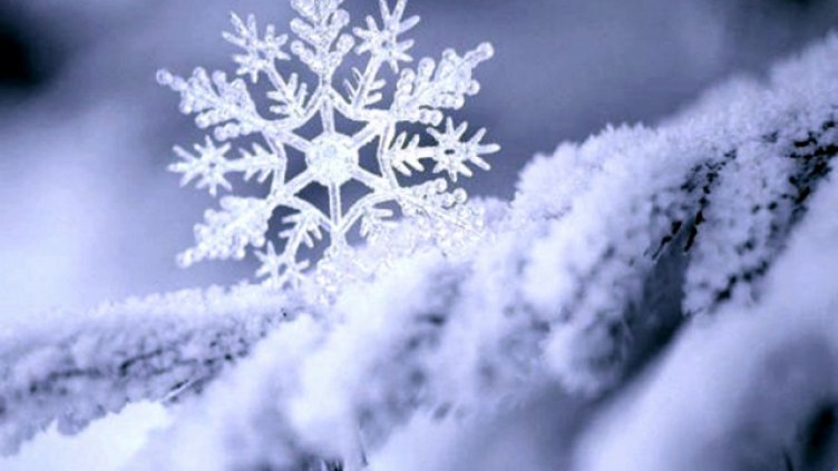 Имен ден празнуват Снежана, Снежа, Снежанка