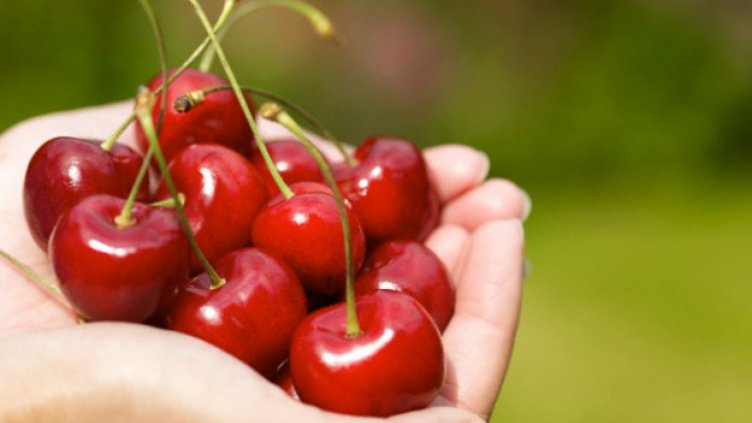  Чeрешова задушница e!