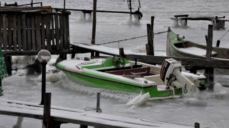 Снимка Пламен Гутинов