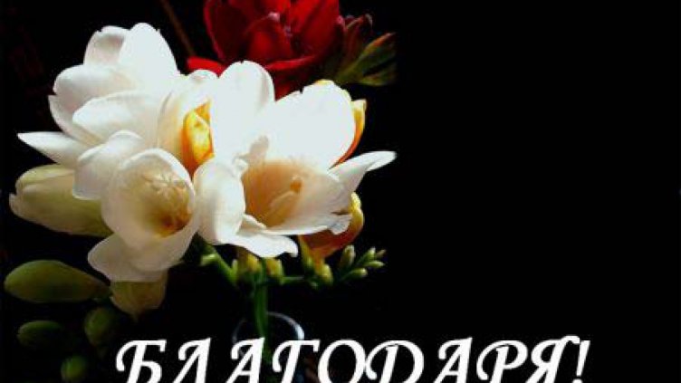 Днес е световният ден на думата БЛАГОДАРЯ