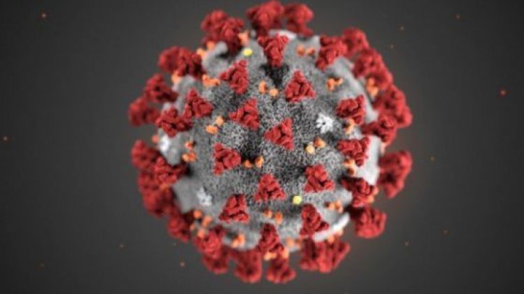 Пробите в детска градина „Ален мак" във Варна са отрицателни