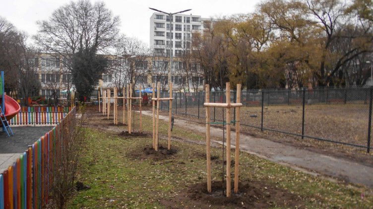 Садят японски вишни и декоративни сливи в "Приморски"