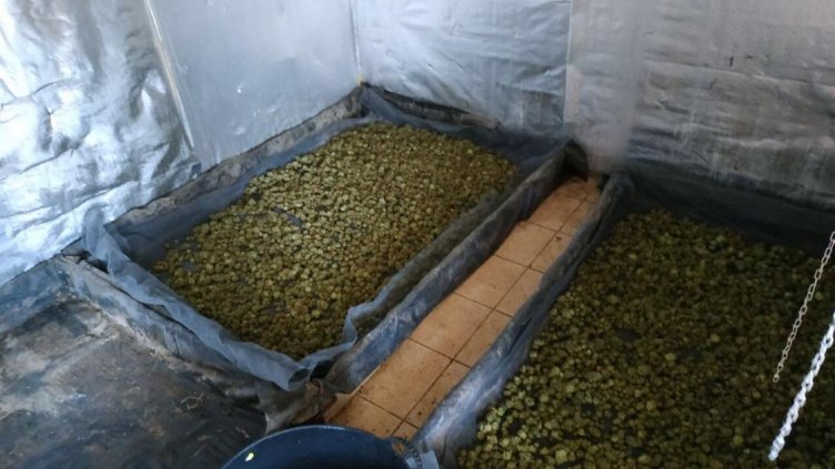 Разбиха поредната наркоорнажерия край Варна