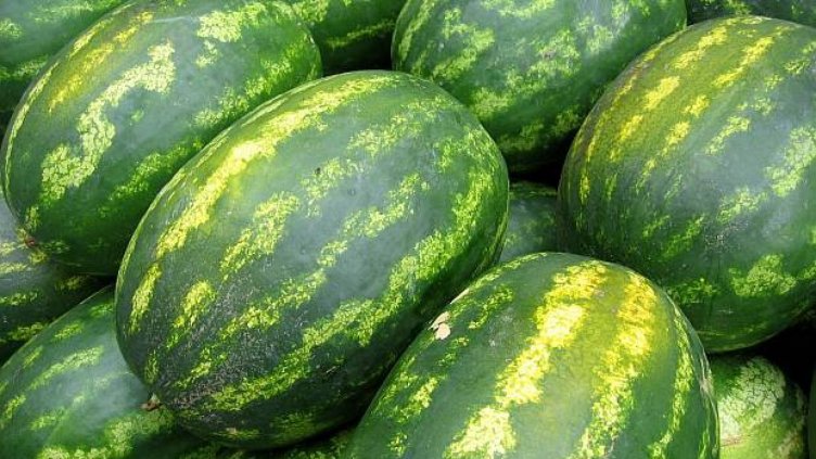 Камион с дини се обърна на АМ "Тракия"