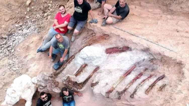 Учени разкопават в двор в Португалия останките на огромен динозавър