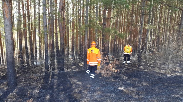 Снимка: СИДП