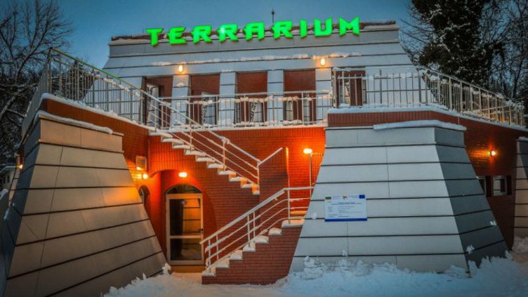 Избяга питонът от терариума в Минерални бани