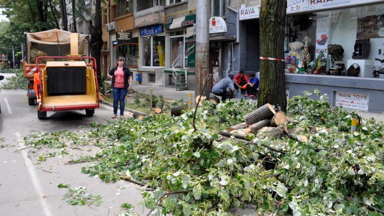 снимка Ели Маринова