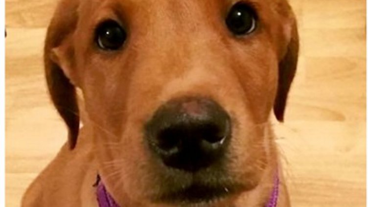 Снимка dailymirror