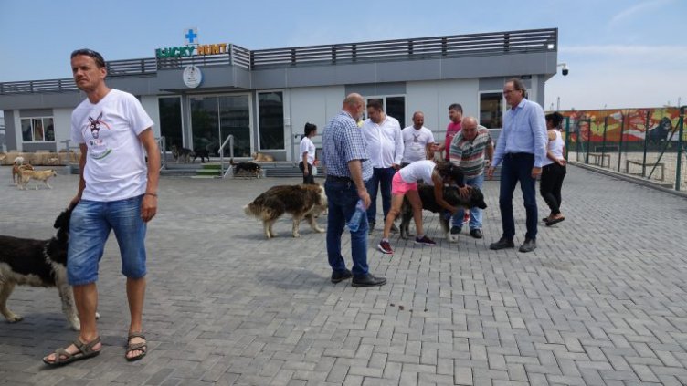 Съветници посетиха приюта за бездомни кучета във Варна