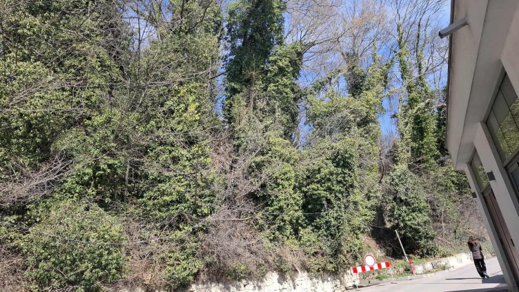 Снимка: Мартин Николов