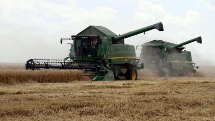 Прибрана е най-добрата зърнена реколта за последните години