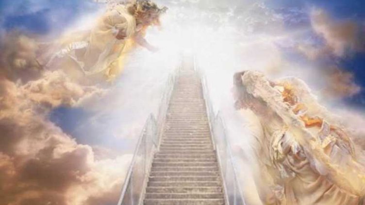 Виц на деня - 31 януари