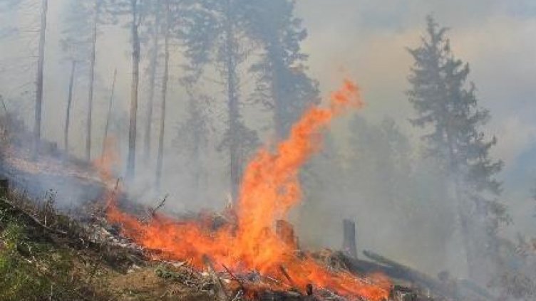 200 души и два хеликоптера гасят пожара в Рила