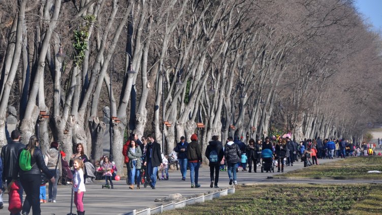 Снимка: Пламен Гутинов