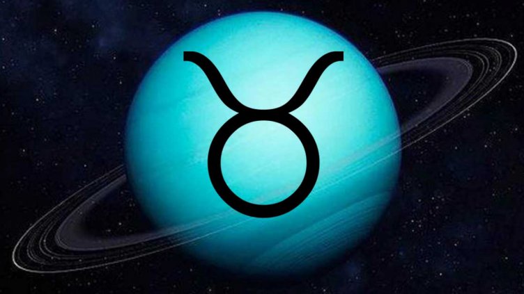 Телецът ще направи всичко за хората, които обича