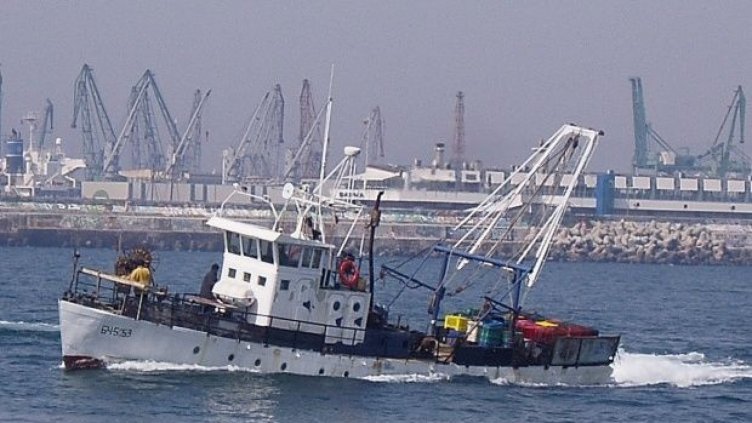 Последни дни за проекти за преработка на собствен улов на риба