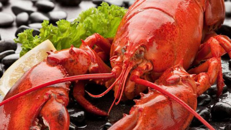 Учени установиха защо омарите стават червени при готвене