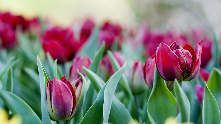 Снимки: Ели Маринова